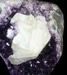 Amethyst Crystal Cluster On Metal Stand - Uruguay #63127-3